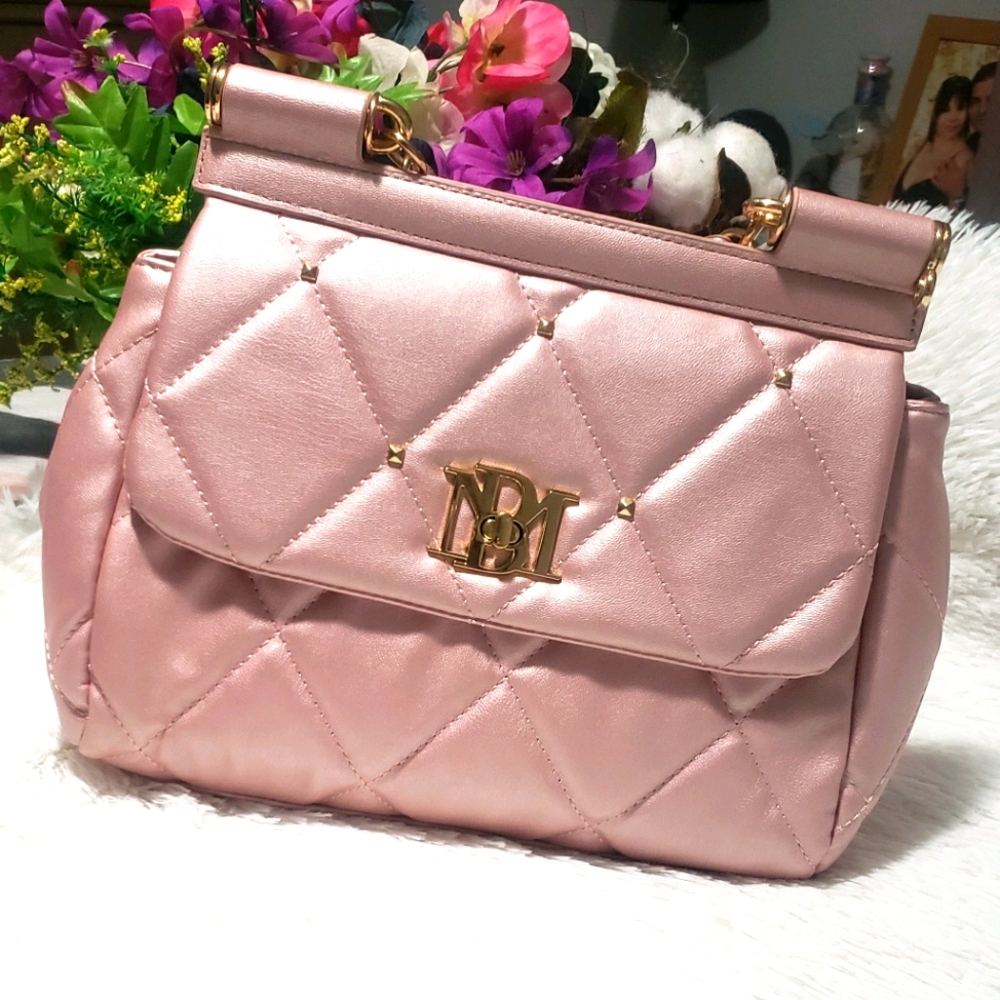 Badgley Mischka bag.